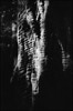 July 09 (B) : APX 100, Big Basin.