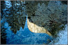 ferider > Lighthouses photo