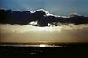 03/12/07 : Photos around the house and Coyote point. Zuiko 180/2.8 and CV 40/1.4, all on Reala.