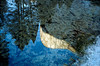 Best of (15) : 